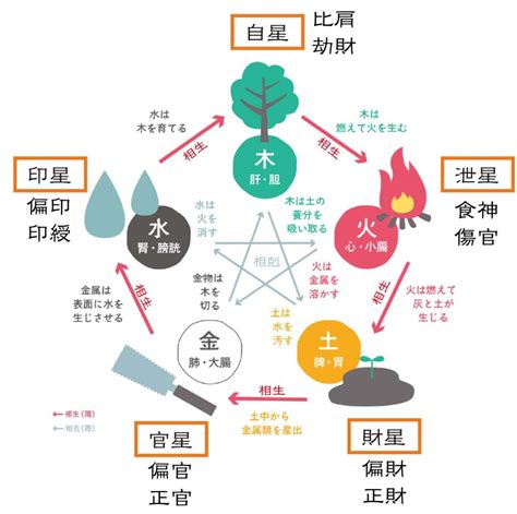 五行 木 性質|【四柱推命】木の五行の性格